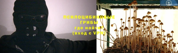 apvp Армянск