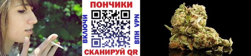 Шишки марихуана сатива  продажа наркотиков  Мосальск 